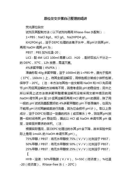 原位杂交步骤自己整理的精讲