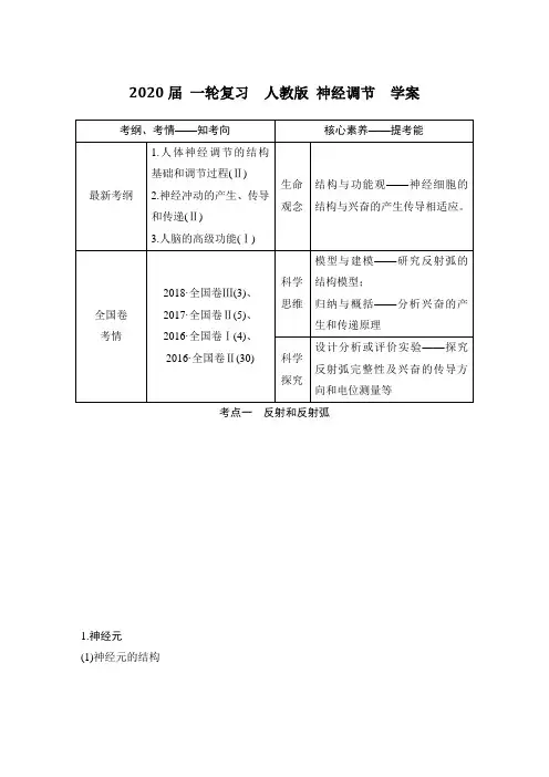 2020届 一轮复习  人教版 神经调节  学案