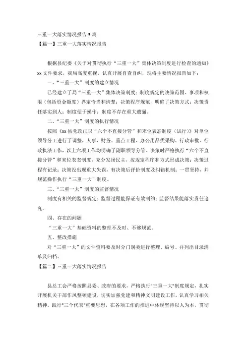三重一大落实情况报告3篇