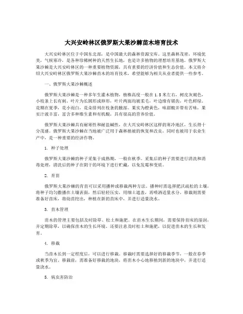 大兴安岭林区俄罗斯大果沙棘苗木培育技术