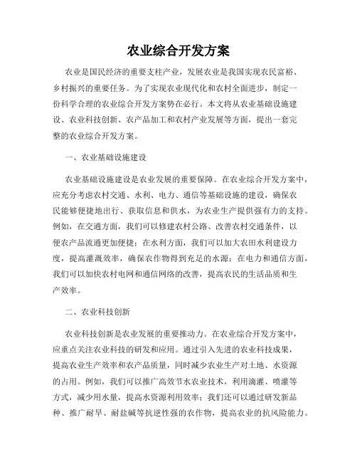 农业综合开发方案
