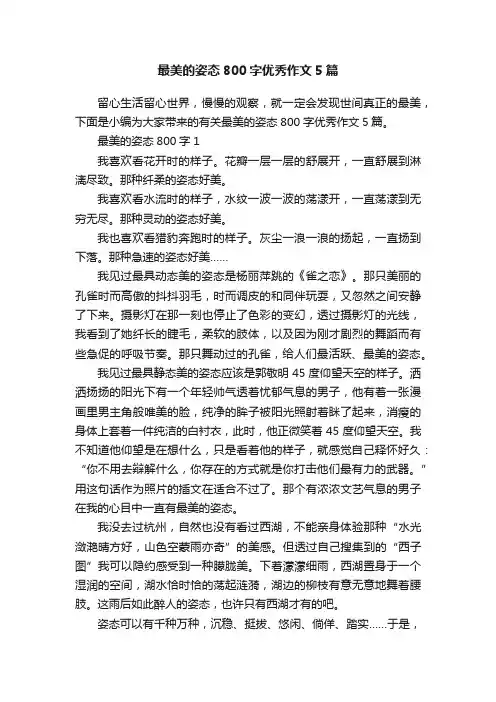 最美的姿态800字优秀作文5篇