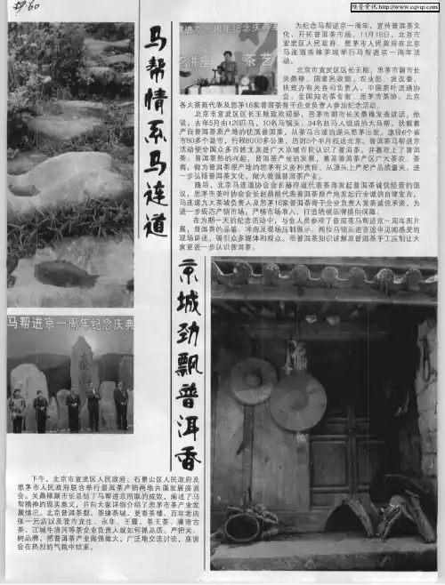 马帮情系马连道  京城劲飘普洱香