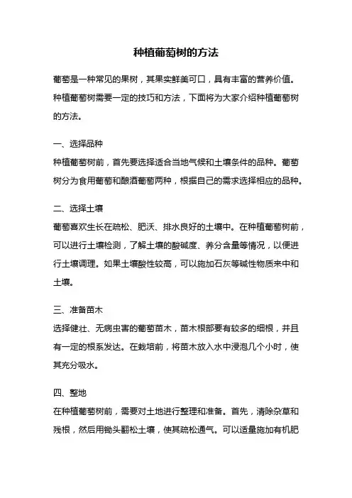 种植葡萄树的方法