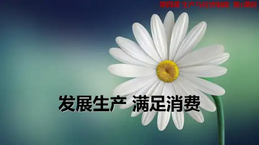 人教版高中政治必修1精品课件17：4.1 发展生产 满足消费