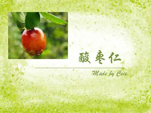 中药资源 酸枣仁