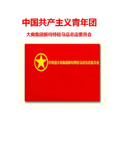 共青团大商集团新玛特驻马店总店委员会