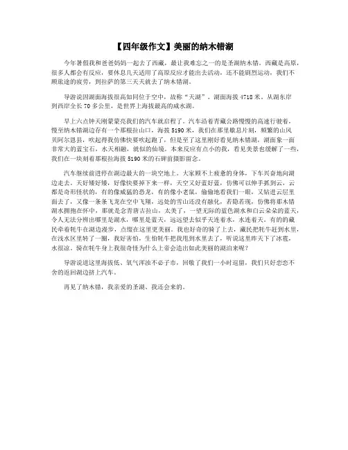 【四年级作文】美丽的纳木错湖