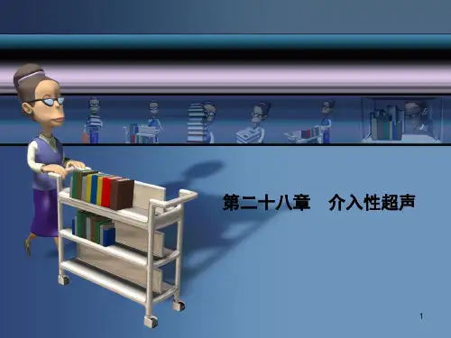 介入性超声ppt课件