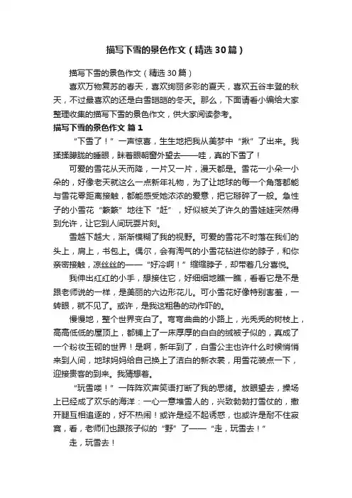描写下雪的景色作文（精选30篇）
