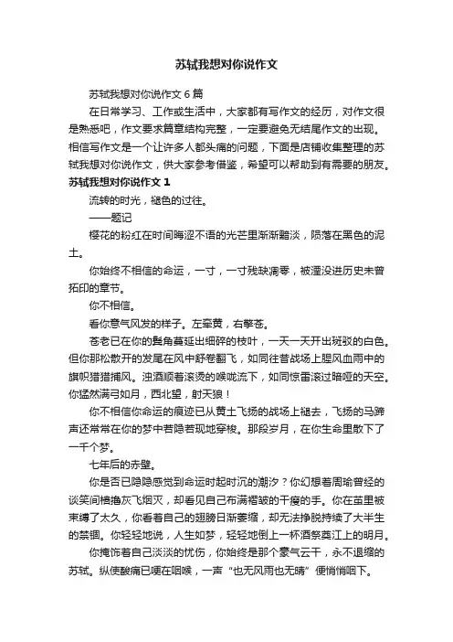 苏轼我想对你说作文