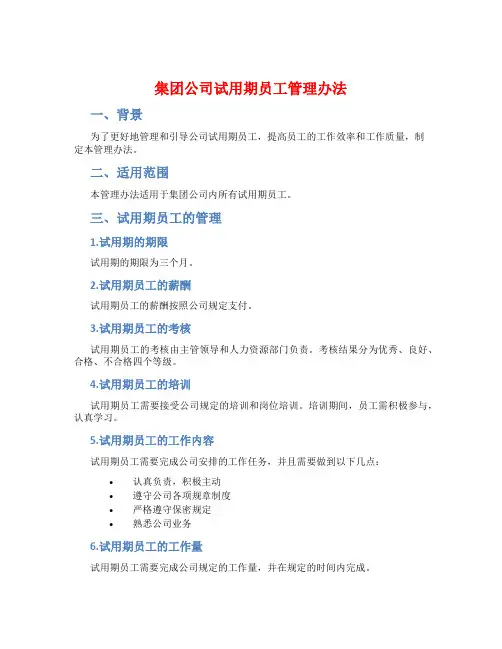 集团公司试用期员工管理办法