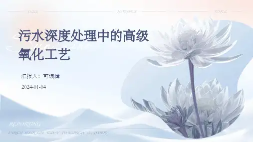 污水深度处理中的高级氧化工艺