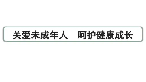 2024成都中考道法三轮冲刺备考专题  关爱未成年人 呵护健康成长(课件)