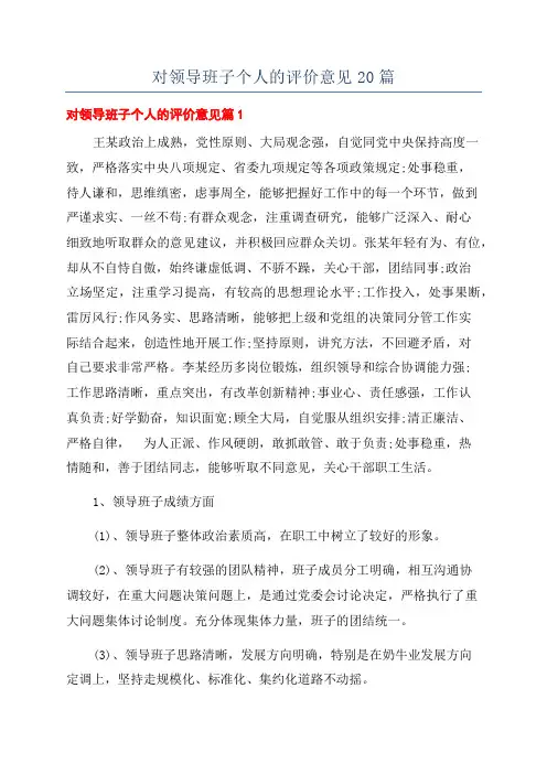对领导班子个人的评价意见20篇