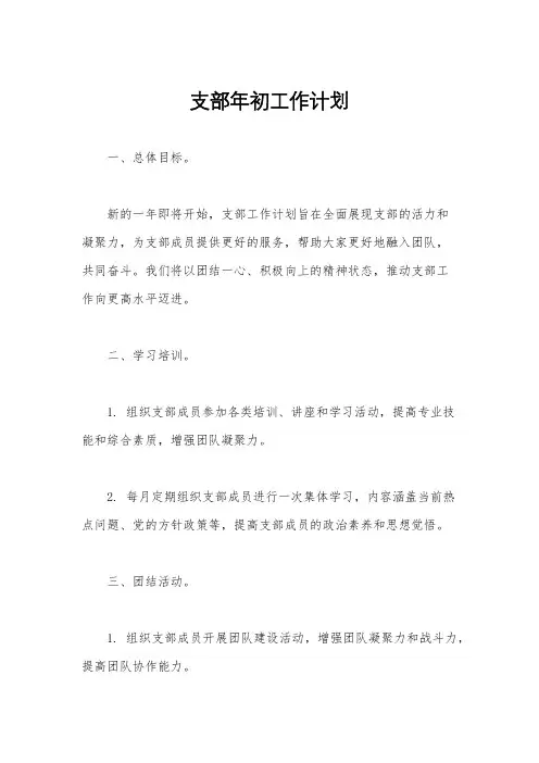 支部年初工作计划