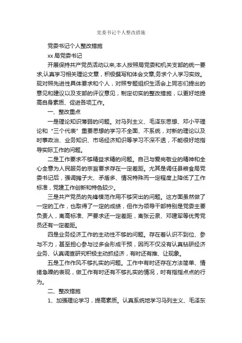 党委书记个人整改措施_心得体会范文_