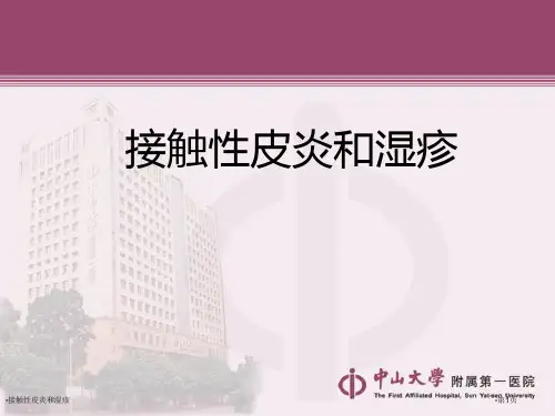 2023-2024学年一年级上语文课堂练习题答案解析附录(实用)