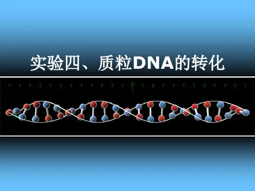 实验4、质粒DNA的转化