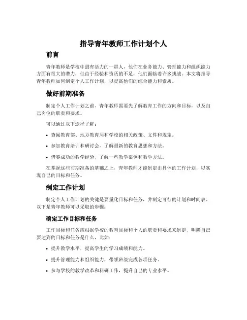 指导青年教师工作计划个人