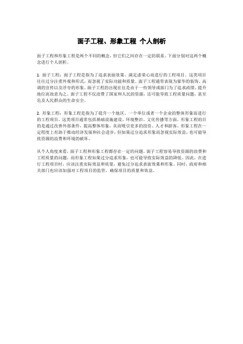 面子工程、形象工程 个人剖析