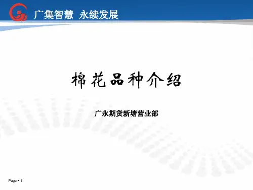 棉花期货基本面介绍