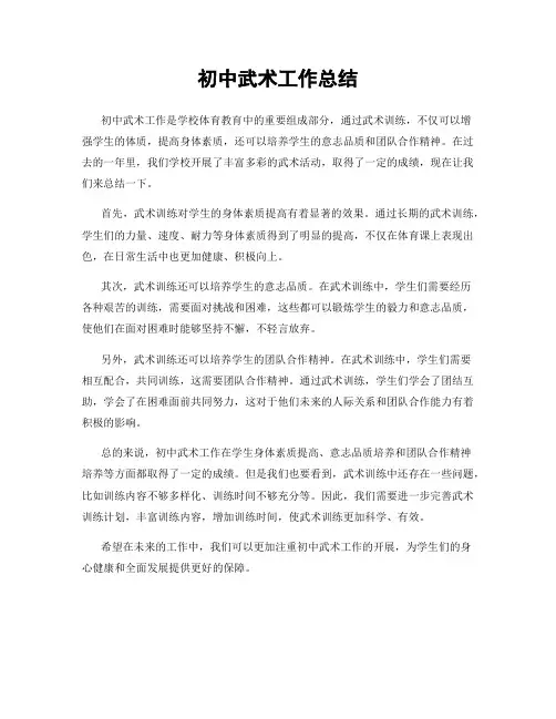 初中武术工作总结