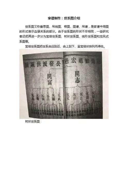 家谱制作：世系图介绍