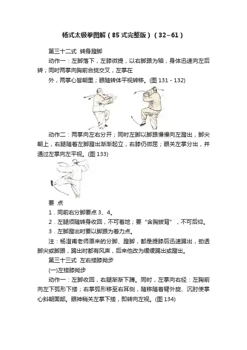 杨式太极拳图解（85式完整版）（32~61）