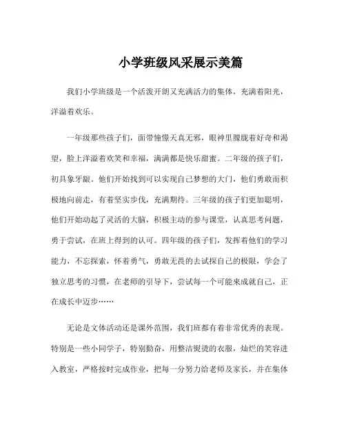 小学班级风采展示美篇