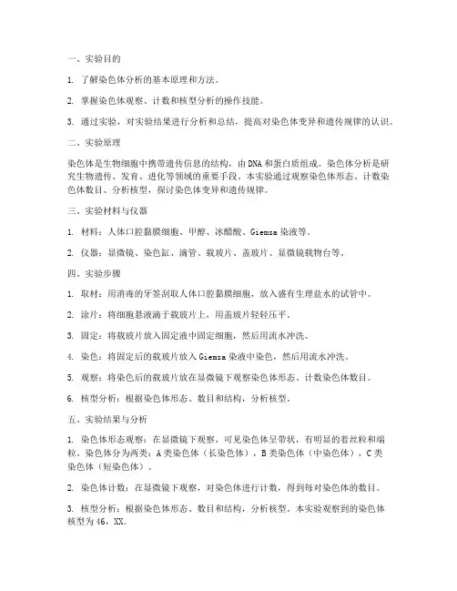 染色体分析实验报告