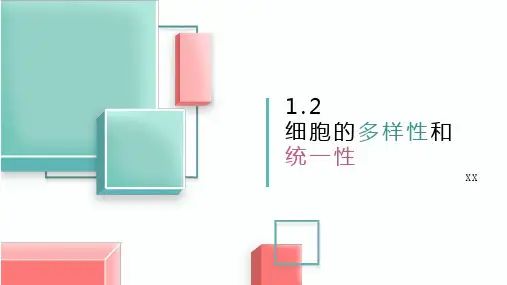 细胞生物的多样性和统一性 课件完美版人教版高中生物必修一