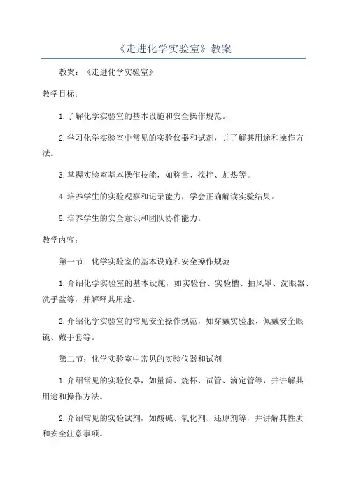 《走进化学实验室》教案