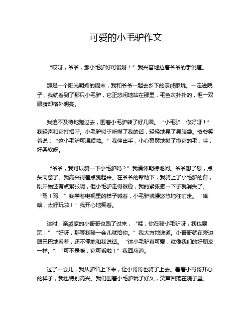 可爱的小毛驴作文