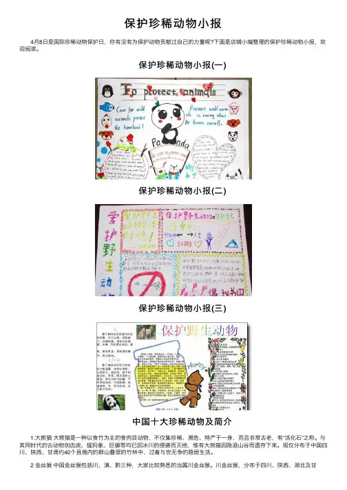 保护珍稀动物小报