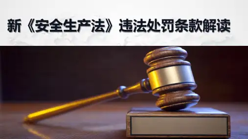 新版《安全生产法》及《刑法》违法处罚条款解读(107页)