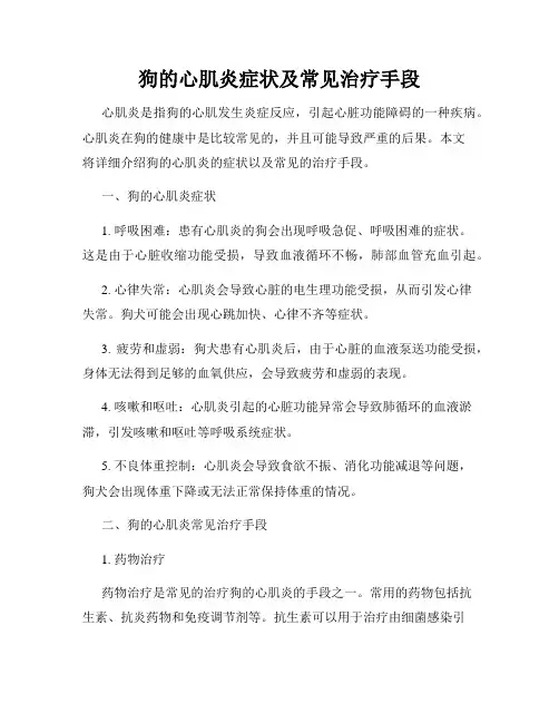 狗的心肌炎症状及常见治疗手段