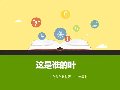 1-4教科版一年级《科学》这是谁的叶