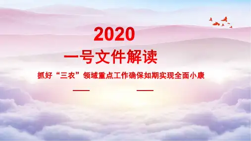 2020一号文件抓好“三农”领域重点工作确保如期实现全面小康PPT课件模板