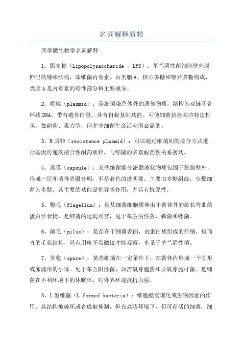 名词解释质粒