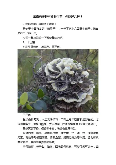 云南有多种可食野生菌，你吃过几种？