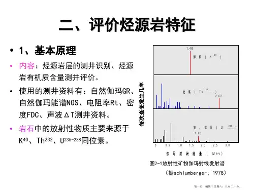 烃源岩特征综述