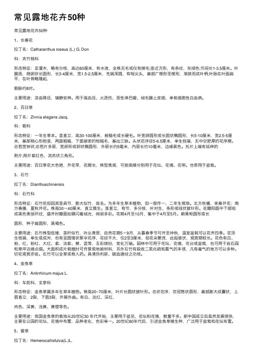 常见露地花卉50种