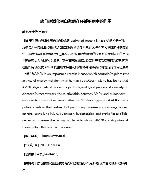 腺苷酸活化蛋白激酶在肺部疾病中的作用