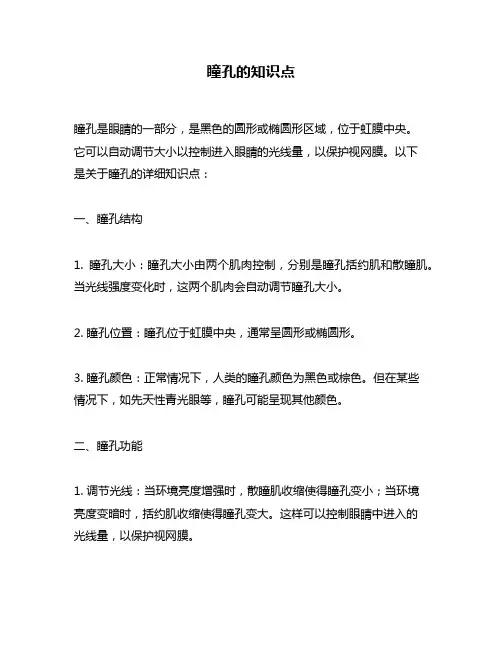 瞳孔的知识点