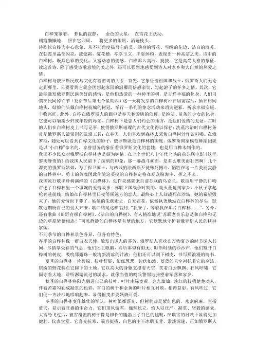 白桦林