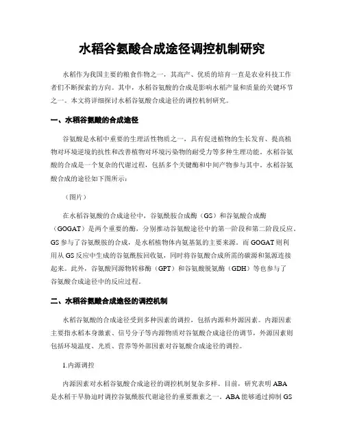 水稻谷氨酸合成途径调控机制研究