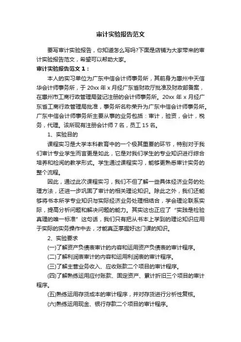审计实验报告范文