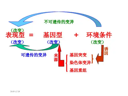 生物：第四章《第二节生物变异在生产中的应用》1浙科版必修2ppt课件