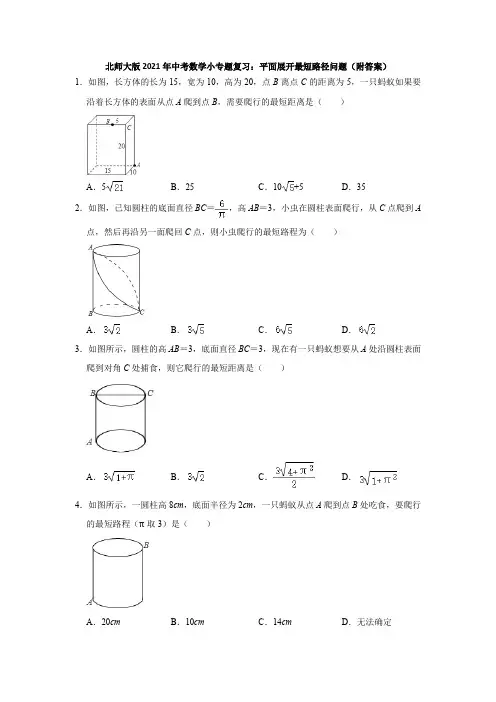 2021年九年级中考数学小专题复习平面展开最短路径问题(附答案)
